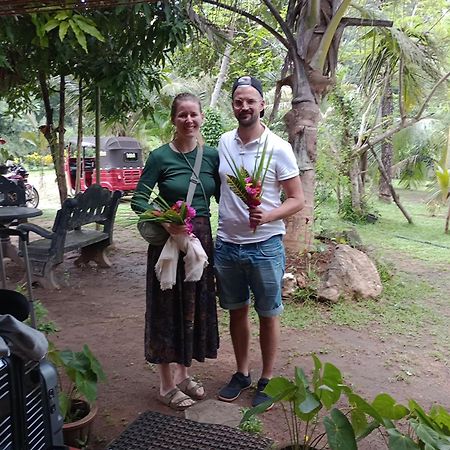 Jungle Eco Lodge & Safari シギリヤ エクステリア 写真