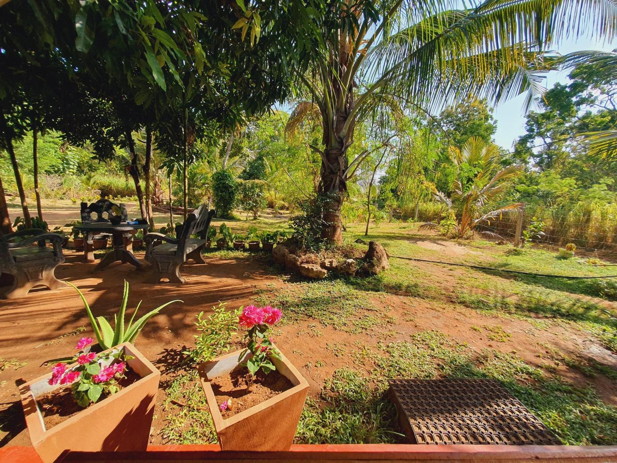 Jungle Eco Lodge & Safari シギリヤ エクステリア 写真