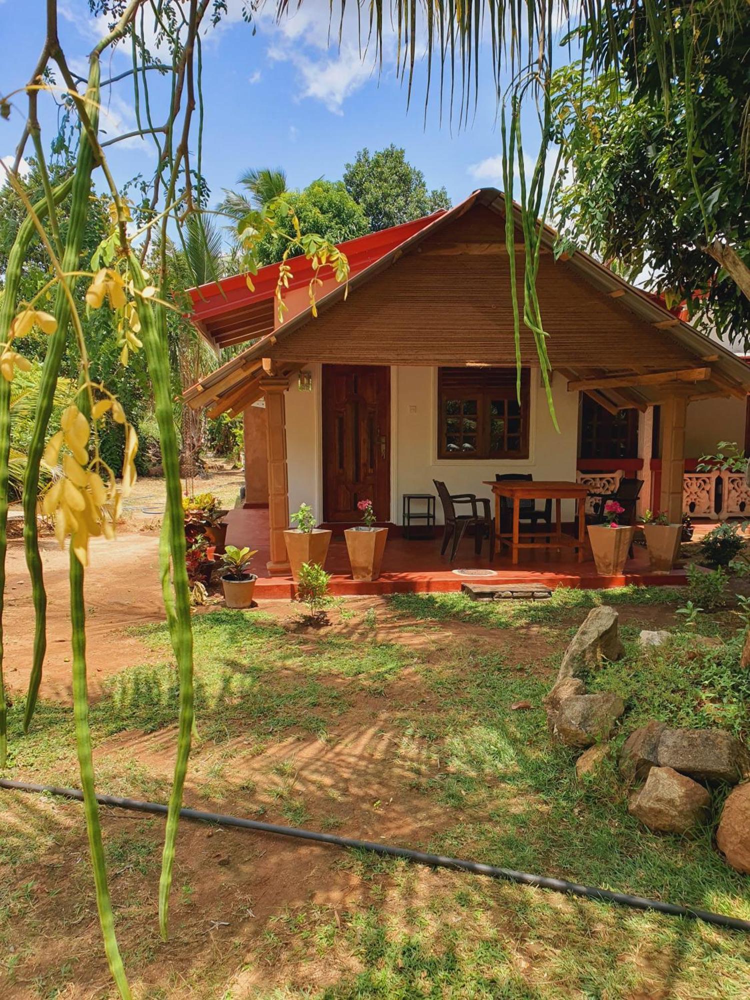 Jungle Eco Lodge & Safari シギリヤ エクステリア 写真