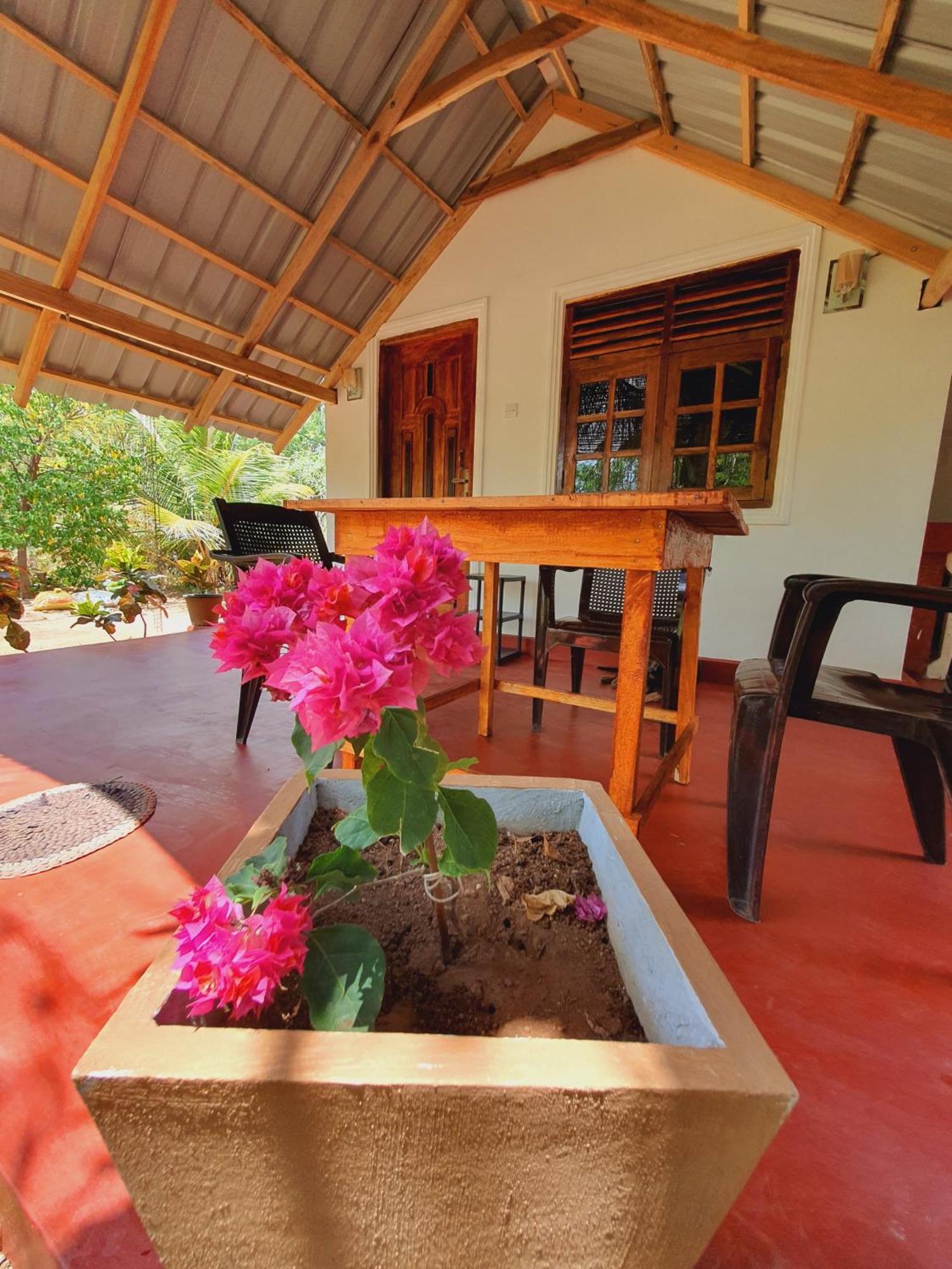 Jungle Eco Lodge & Safari シギリヤ エクステリア 写真