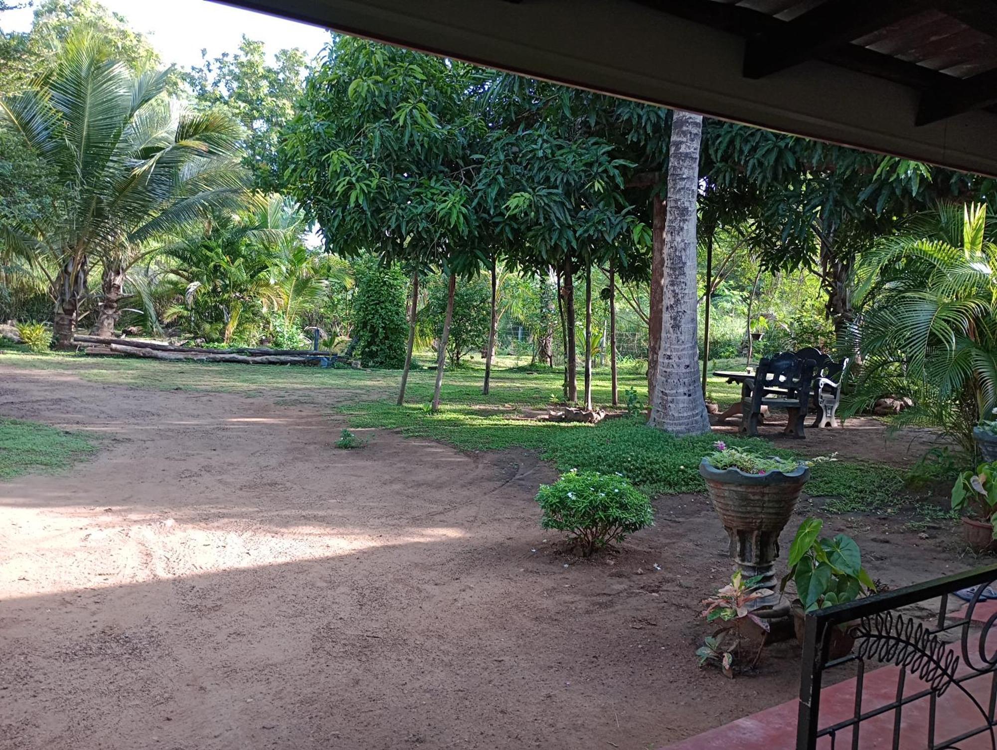 Jungle Eco Lodge & Safari シギリヤ エクステリア 写真