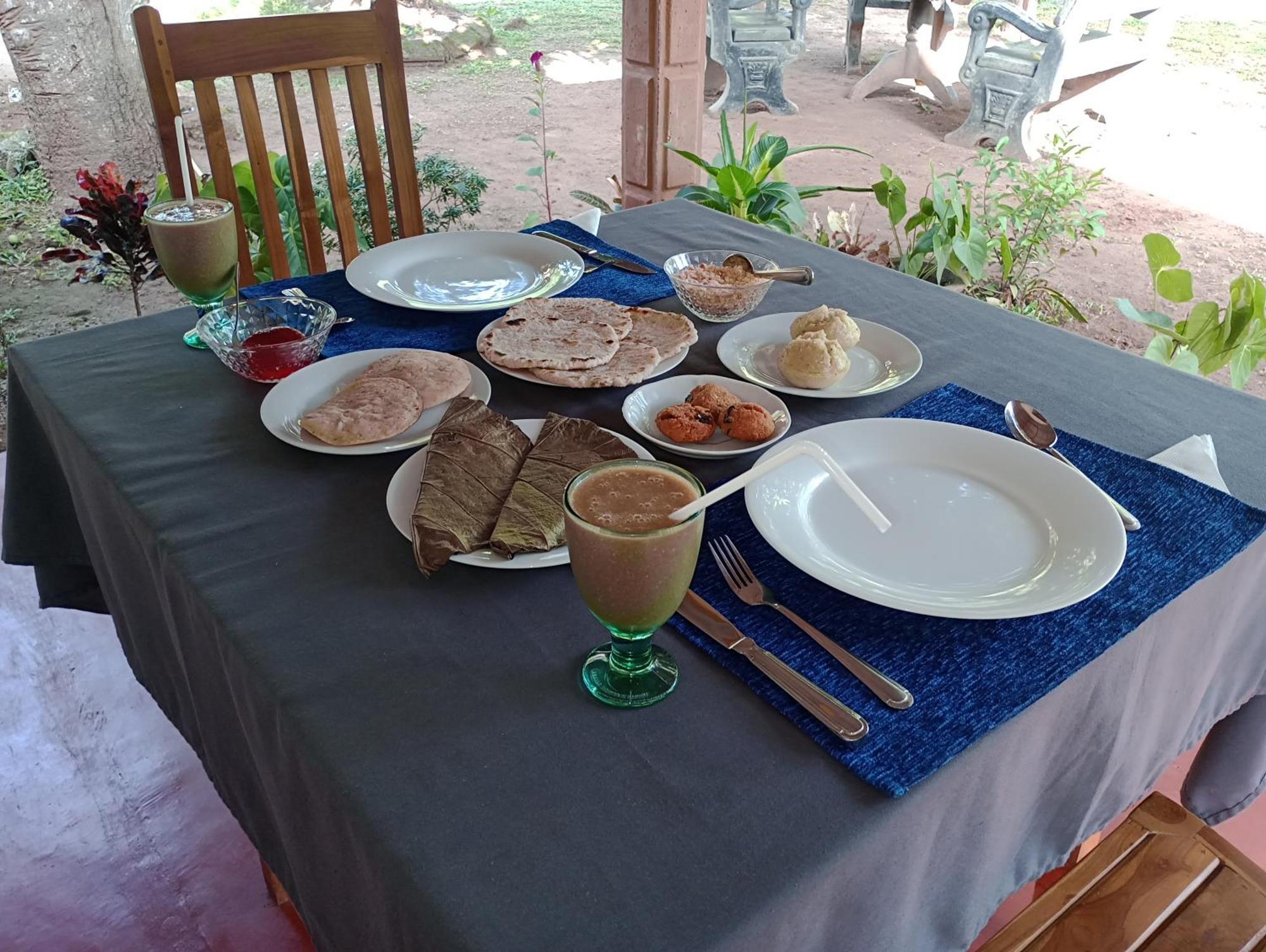Jungle Eco Lodge & Safari シギリヤ エクステリア 写真