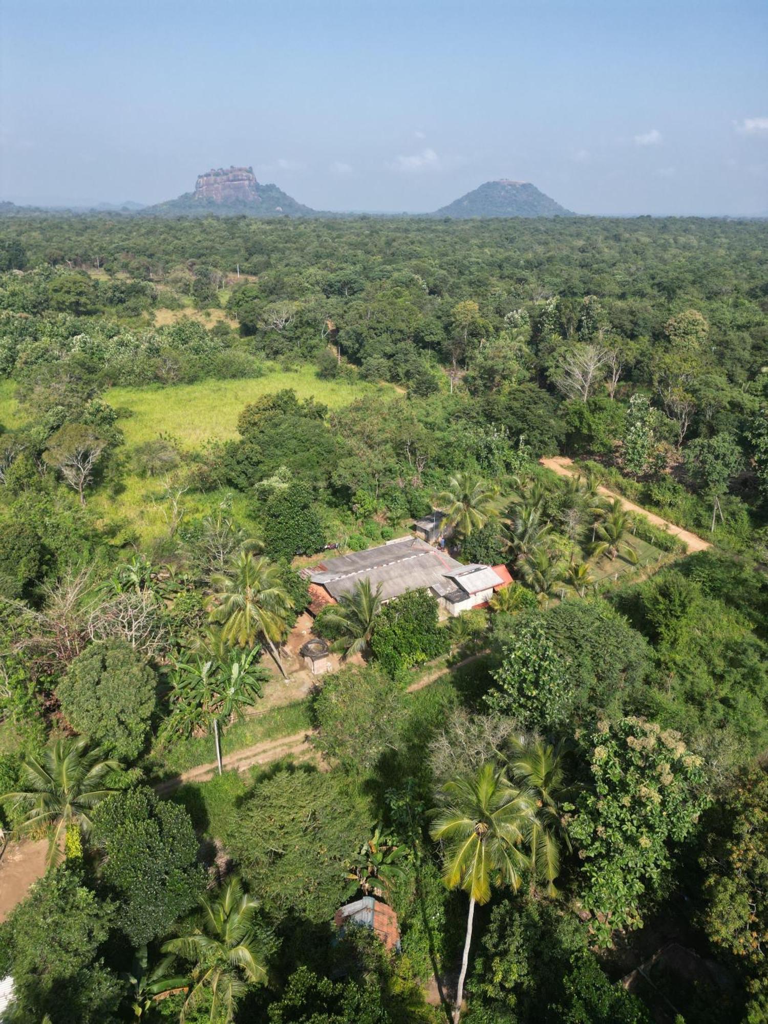 Jungle Eco Lodge & Safari シギリヤ エクステリア 写真