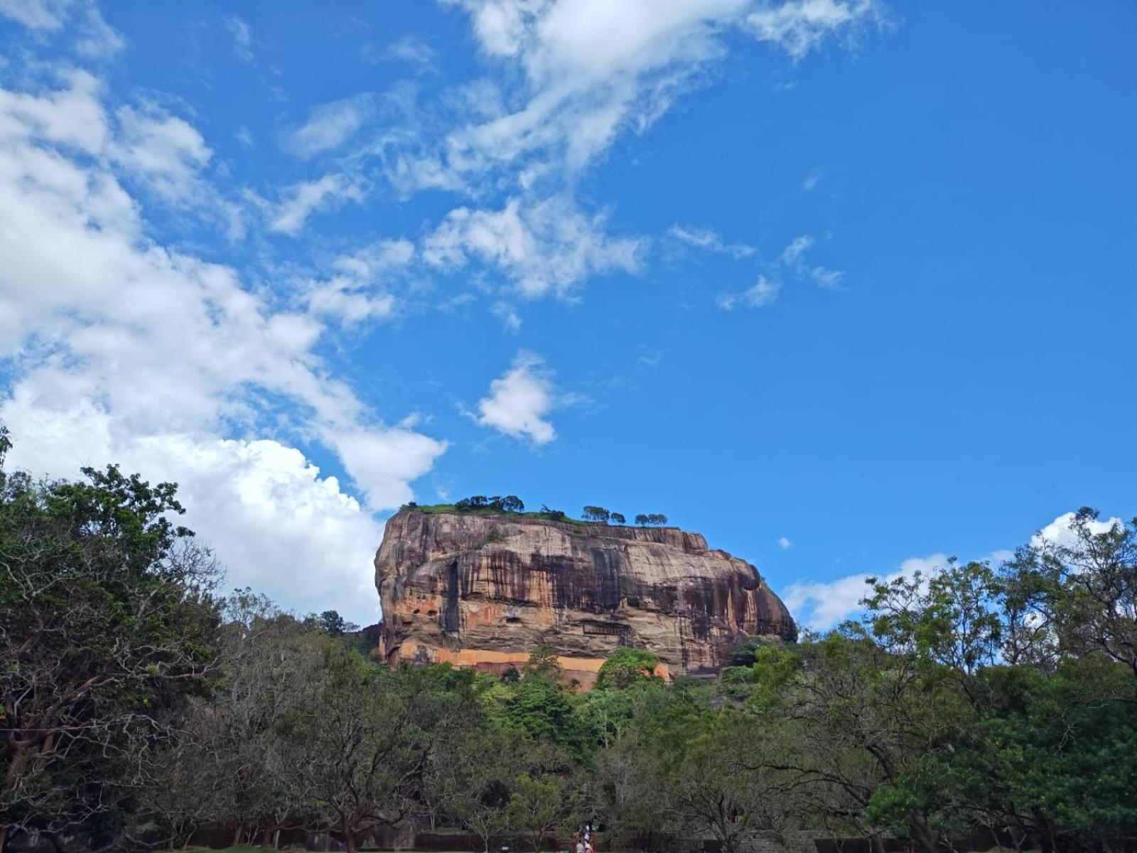 Jungle Eco Lodge & Safari シギリヤ エクステリア 写真
